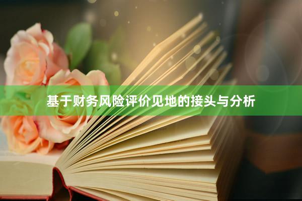 基于财务风险评价见地的接头与分析