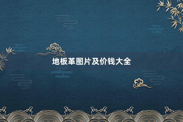 地板革图片及价钱大全