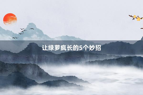 让绿萝疯长的5个妙招